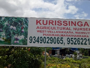 KURISSINGAL AGRO FARM